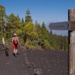 Sendero al volcán de Trevejo