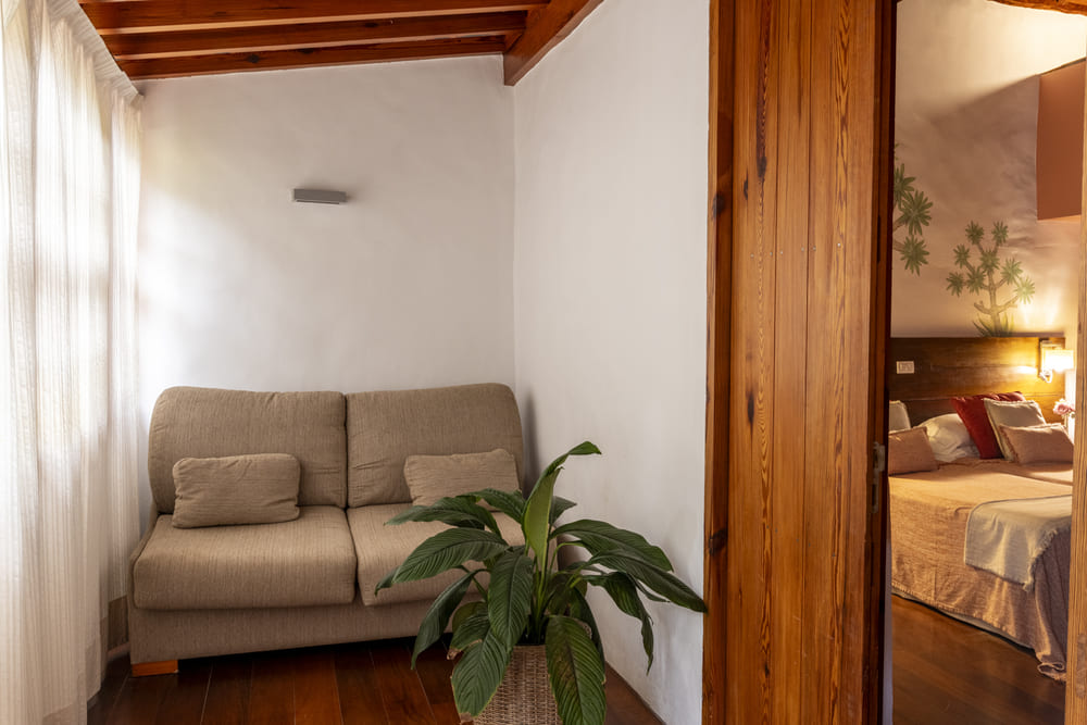 Hab 209 - Tabaiba Dulce