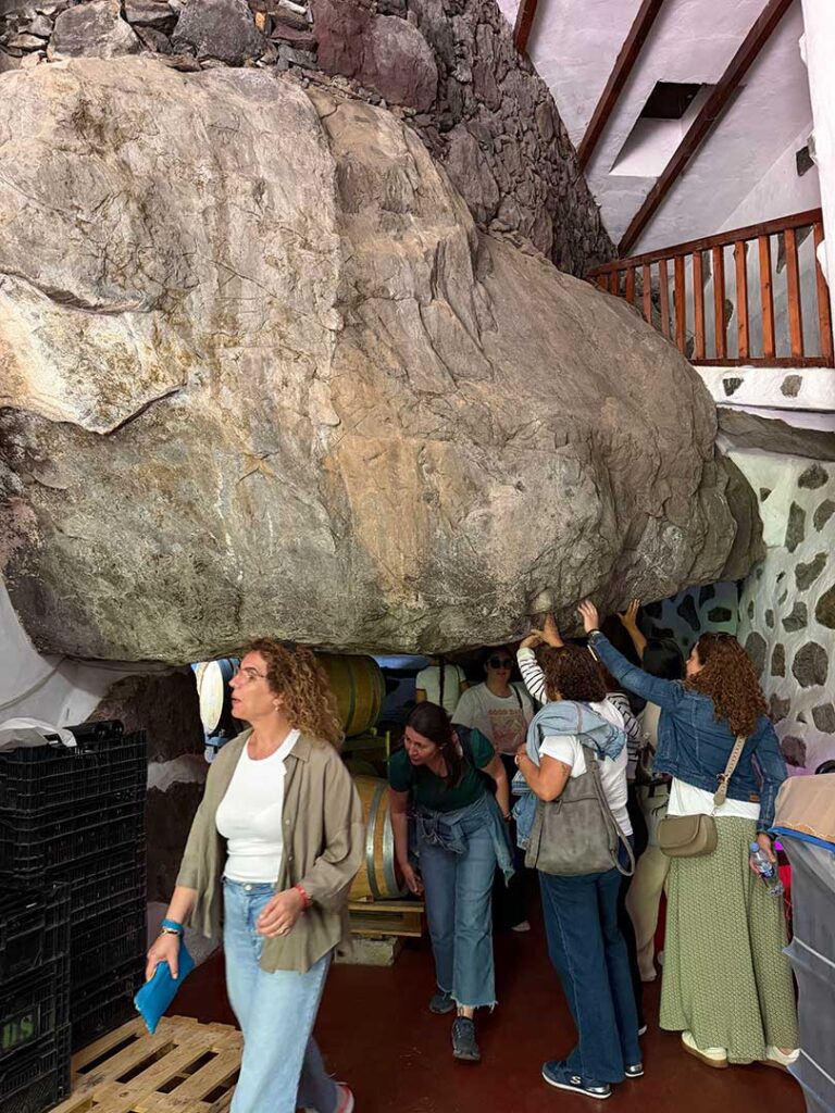 Excursion a Gran Canaria bodega